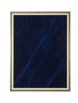 4" x 6" Blue Plate for a 6" x 8" Plaque